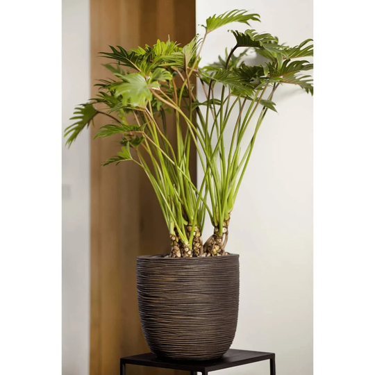 Capi Egg Planter "Nature Rib"