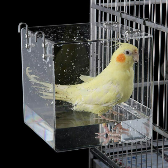 Kartokner - Bird Parrot Myna Sparrows Transparent Cube Bird Bath Box Bird BathBath Shower Cage for Small