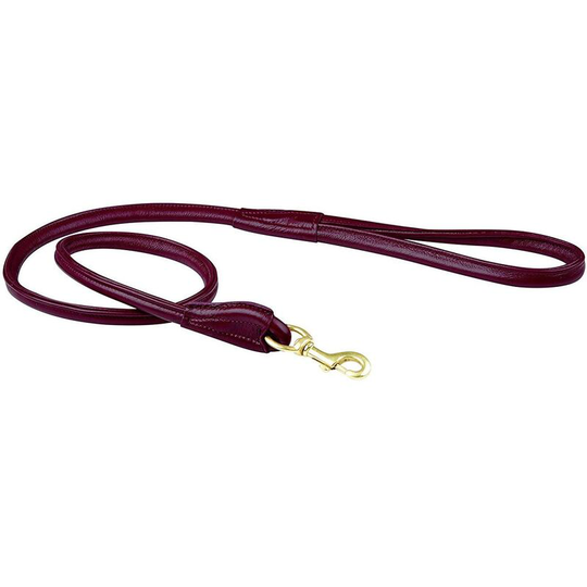 Rolled Leather Dog Lead (One Size) (Maroon) - Maroon - Weatherbeeta