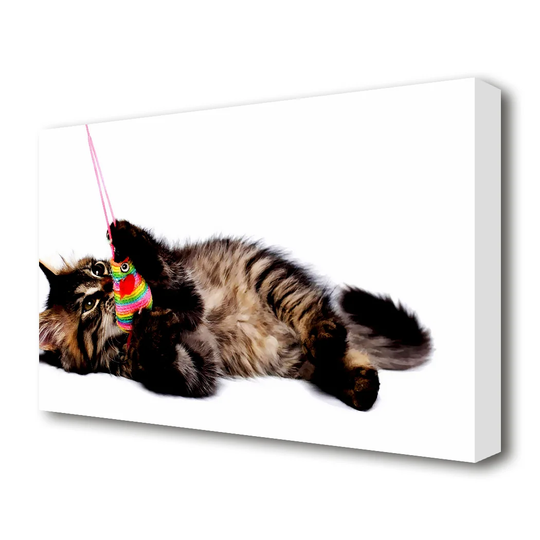 Kitten Play Wildlife - Wrapped Canvas Photograph Print