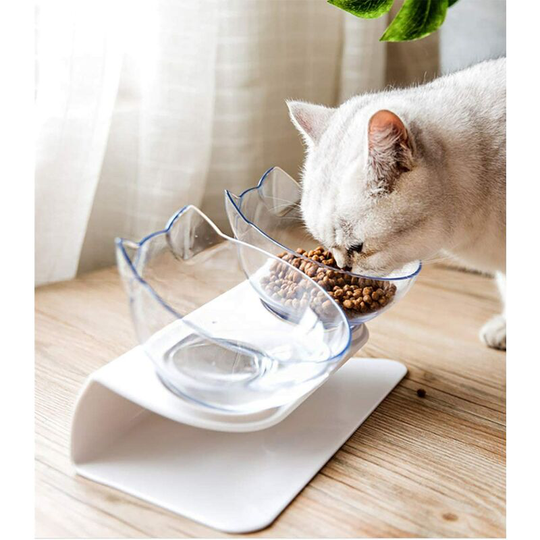 Cat Bowls,Double Pet Food Bowl, Anti-slip 15? Incline Neck Protection Pet Food Bowl with Feeding Spoon, Clear