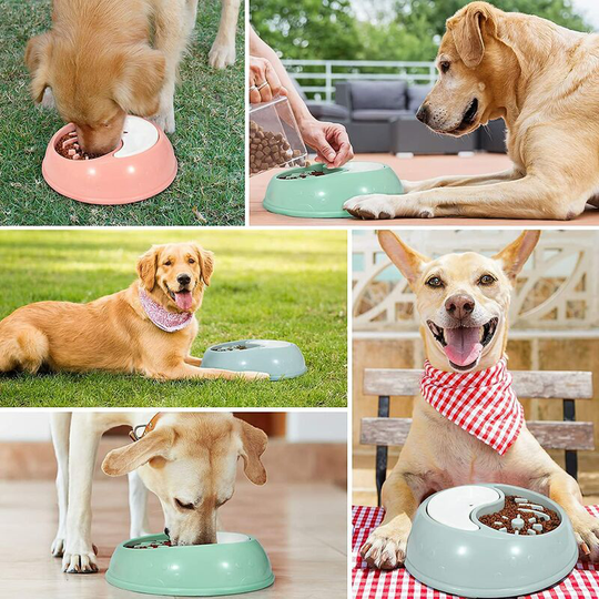 Slow Feeding Bowl for Dogs, Slow Feeding Bowl for Food and Water, Anti Glutton Bowl for Dog Cat, Promotes Healthy Eating and Slow Digestion (Green)