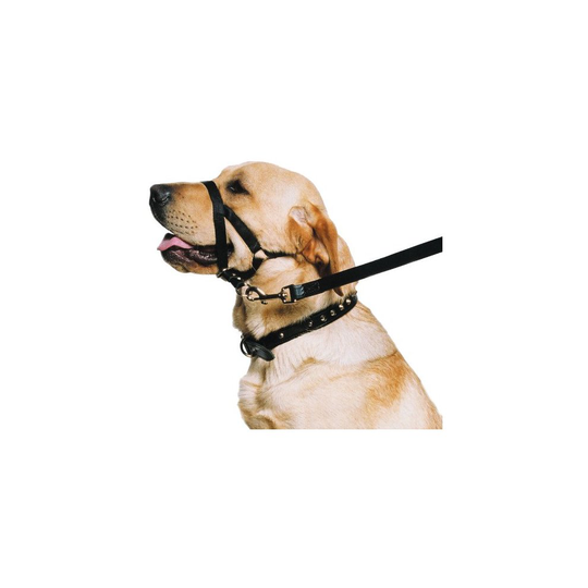 Ancol - Dog Training Halter - Head Collar - Helps Stop Pulling - Size: M (3-4)