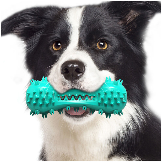 Dog Brush, Dog Chew Toy, Bite Resistant Rubber For Small and Medium Dogs (Blue)