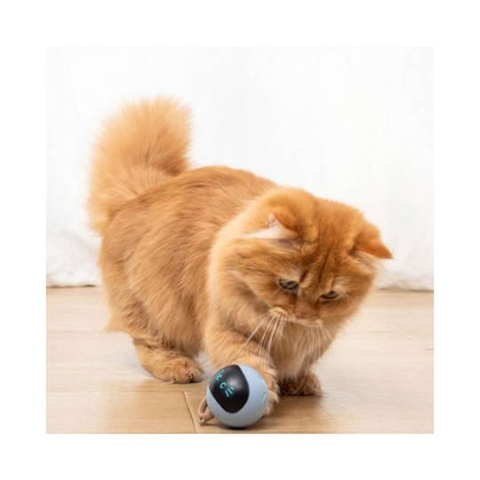 Smart & Interactive Self-Rotating Ball Cat Teaser