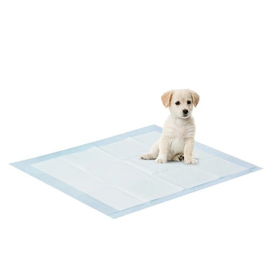 Emmett Pet Training Mat/Pad in White