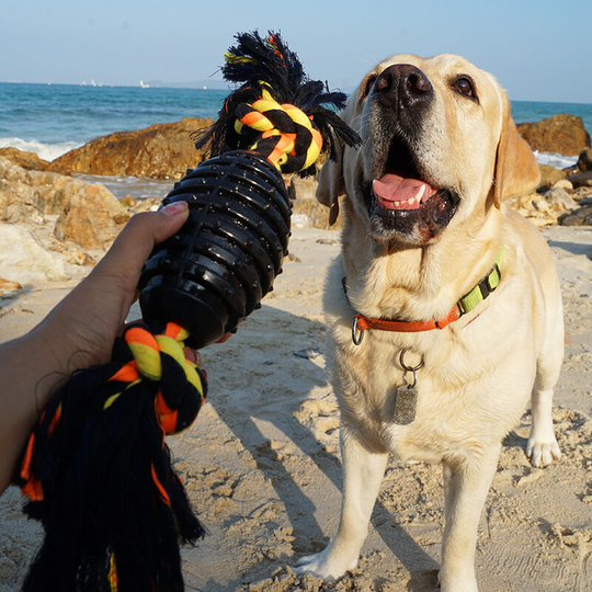 Durable Dog Chew Toys Strong Rubber Chew Toy with Rope Interactive Pet Toys Puppy Teething Toy for Aggressive Chewers Big Medium and Large Dogs