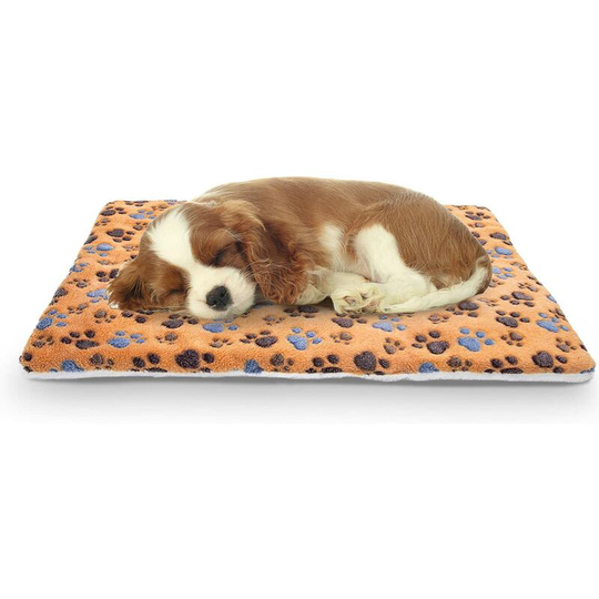 Pet bed (dog / cat), super soft with cute print | Reversible wool cassette mattress | Machine Washable Pet Mattress L70 * W55CM
