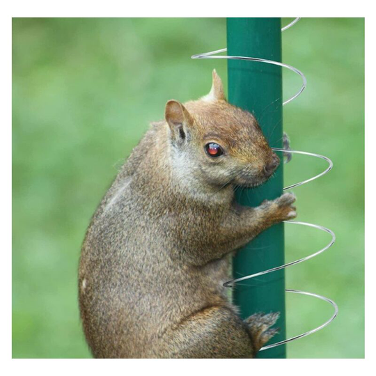 1 Pieces Squirrel Baffle Metal Spring Device Squirrel Barrier Spring Type Coil Outdoor Bird Feeder Accessories for Bird Feeder Poles - Thsinde