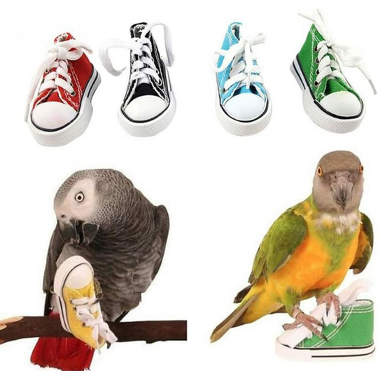 4 Pieces Mini Baskets Bird Toy Parrot Craft Cage Handicraft Animal Toy Bird Sit