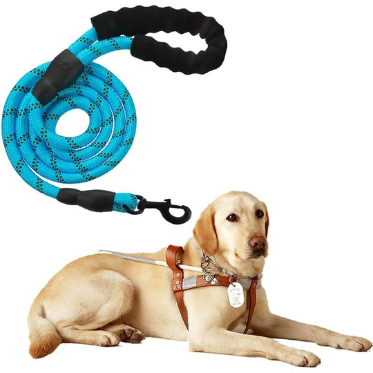 Denuotop - High Quality Black 150 cm Solid Reflective Adjustable Nylon Dog Lead for Large or Medium Dogs Suitable for Jogging Walking (Blue)