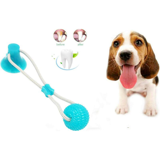 Modou - Pet molar bite toy, suction cup ball, dog toy, multi-function ball and suction cup, pet molar toy, multi-function dog toy, dog suction cup