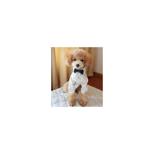 Cotton pet shirt puppy spring and summer clothes teddy bichon dress bottom shirt cat suit , M (chest 36", back 25", neck 25") white black collar