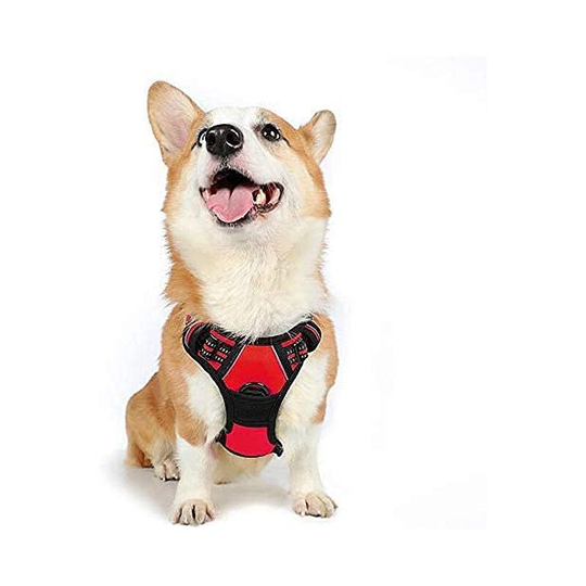 Perle Rare - Dog Harness m Red Harness Anti Pull Reflective Adjustable Dog Vest, Front Attachment Leash Hook for Hiking Car Travel, French Bulldog,