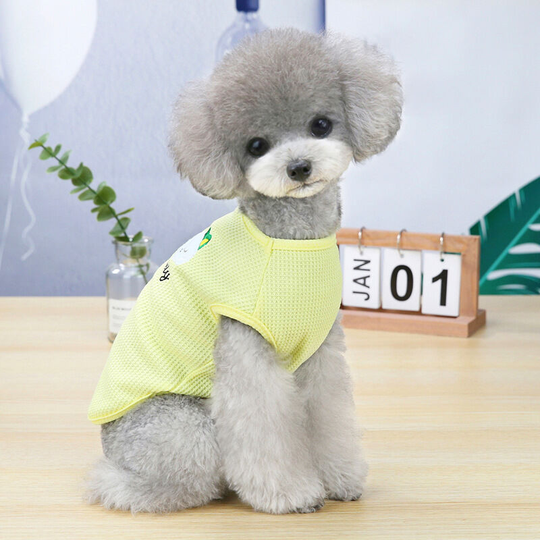 Pet clothing new dog clothes spring and summer embroidered puppy undershirt costume M (chest 40", neck 27", back 30" suitable for weight 4-6 pounds