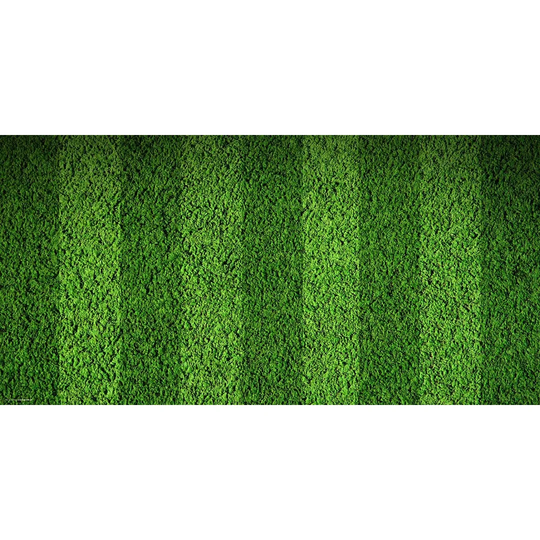 Playing Field Turf Desk Pad