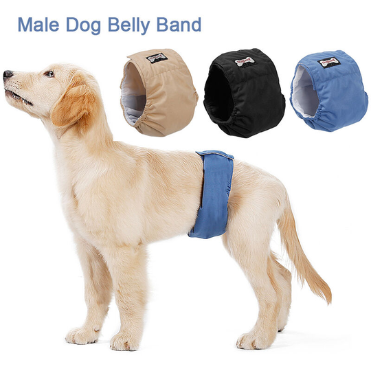 Superseller - Godox LB-01 8 Inch led Video Light Modifier Barn Door with Bowens Mount for Video Photography Portrait, Black&Blue&Beige&S