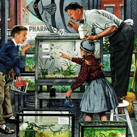 Fish Aquarium by Stevan Dohanos - Painting Print on Canvas