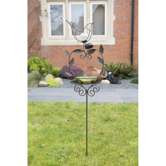 Kathy Bird Bath