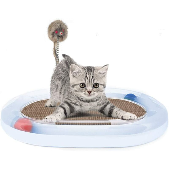 Denuotop - Cat toy Cardboard Lounge cat toy with mouse and Spring Purple