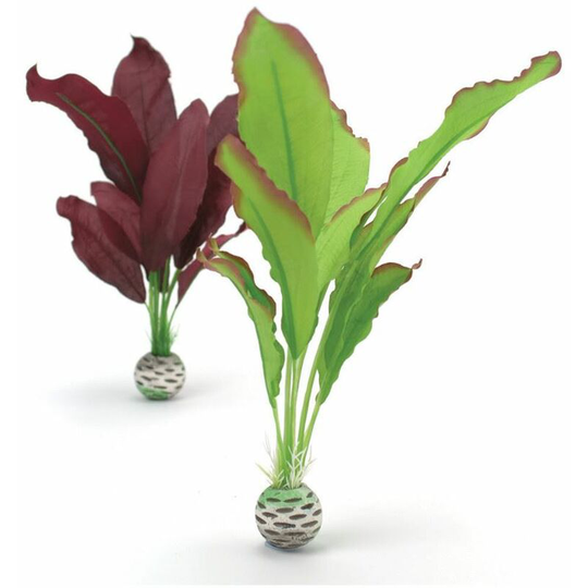 Silk Plant, Medium, Purple - Biorb