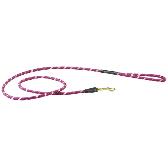 Rope Leather Dog Lead (1.2m) (Burgundy/Brown) - Burgundy/Brown - Weatherbeeta