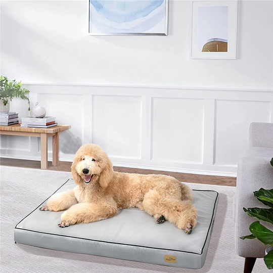 Dog Mat in Grey
