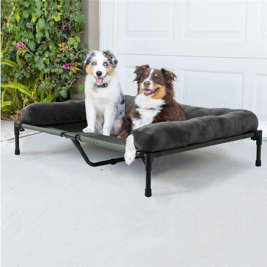 Lang Pet Cot in Black