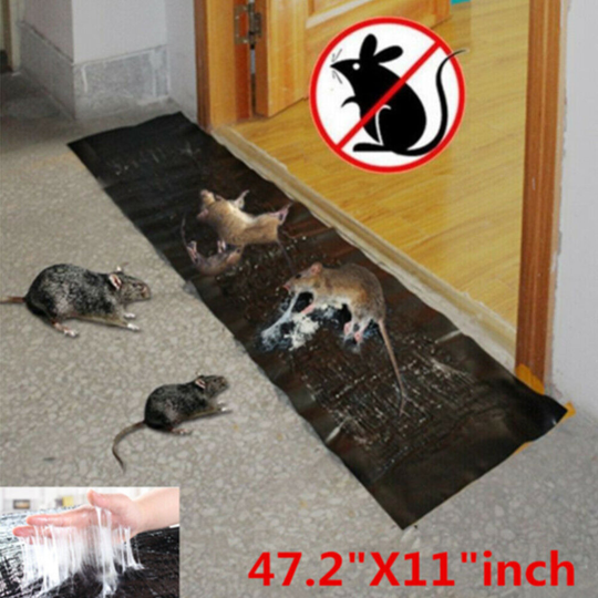 (2) 1.2M Mice Mouse Traps Board Pad Super Sticky Rat Rodent Snake Bug Safe Household