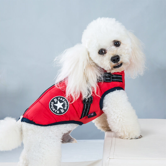 Red pet clothing autumn and winter new waterproof warm dog padded winter ski jacket chest and back integrated cotton vest 22*36*26.5cm