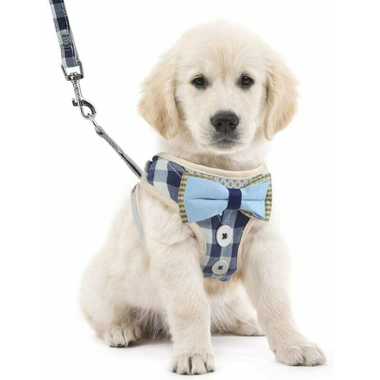 Monly - Dog Harness and Leash Vest, Soft Mesh Padded Puppy Harness, Anti Pull Breathable Adjustable Puppy Bow Tie Vest Harness for Small Medium Dogs
