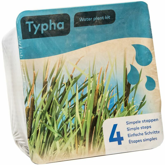 Complete Waterplants Pond Plant Kit - Typha