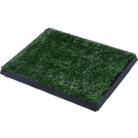 Shamar Dog Mat in Green and Black