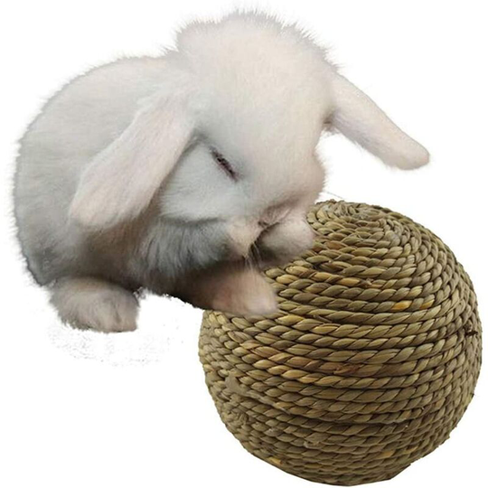 Natural Pet Grass Chew Ball for Small Rodents Cat Teeth Cleaning Toy
