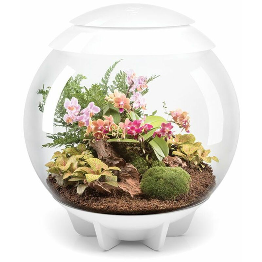 Biorb - air 60 Litre Automatic Terrarium in White with led Lighting