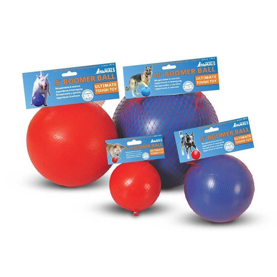 (6 inch) The Company of Animals Boomer Ball Dog Toy