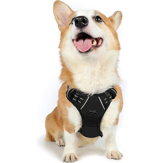 Perle Rare - Arnet Dog Harness Adjustable Reflective Easy On Front Clip-On Harness for Medium and Small Dogs, Black