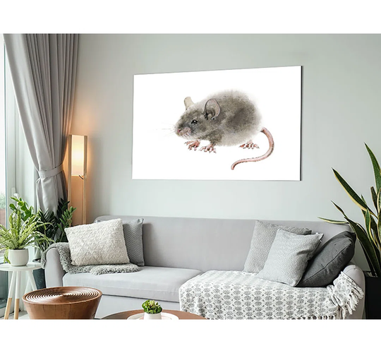 Cute Little Mouse - Unframe Graphic Art on Metal