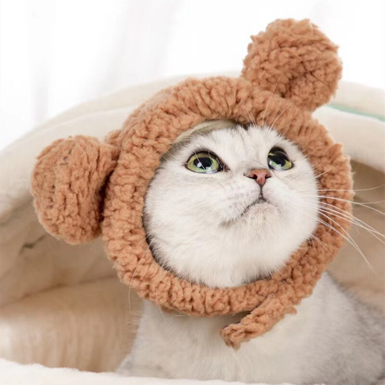 2 cute cat clothing warm bear hat for cats Adjustable soft small pet headwear Bear hat for cats and dogs
