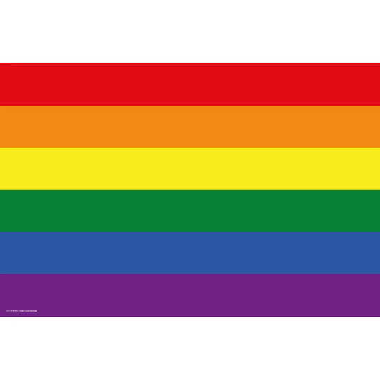 Flag Rainbow Placemat