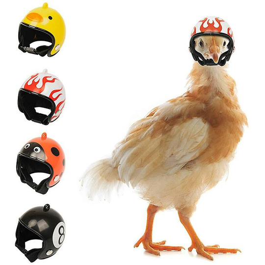 Parrot Toy Bird Toy Rooster Hen Helmet Bird Helmet 4 Pieces White Yellow Green Pink thsinde