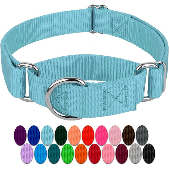 Ocean Blue Martingale Heavy Duty Nylon Dog Collar - (1 Inch Width, Large)