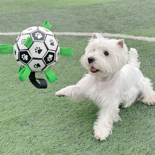 Dog toy ball 15cm natural rubber iq training toy