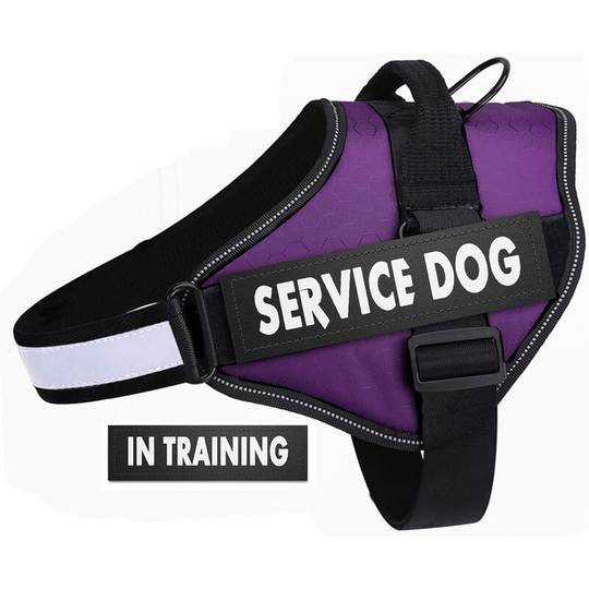 Briday - Dog Harness No-Pull Breathable Adjustable, Walking Training Assistance Chest, Outdoor Easy Control for Medium Large Small Dogs, xs Purple