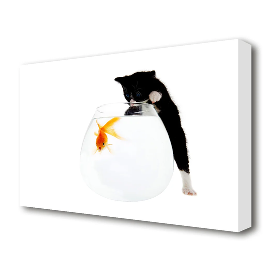 Kitten Fish Bowl Wildlife - Wrapped Canvas Photograph Print