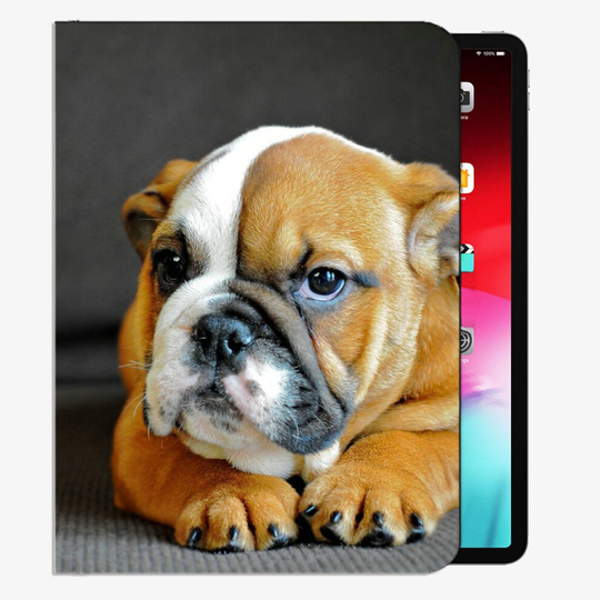 (iPad 2017/2018 9.7 inches) English Bulldog Puppy Dog Muzzle Case Slim Shell Cover For iPad iPad Pro 12.9 inch