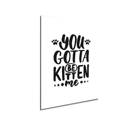 You Gotta Be Kitten Me Metal Print