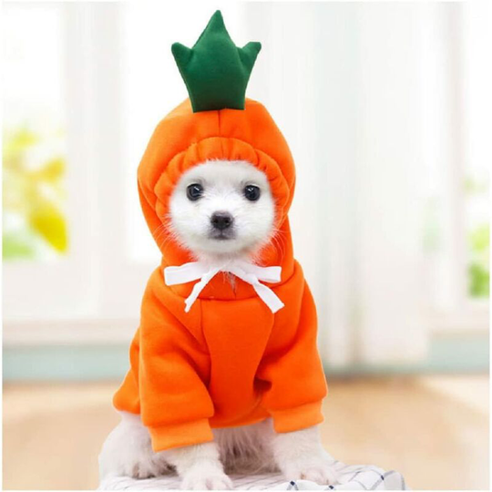 Dog Hoodie, Cute Dogs Hooded Sweatshirt, Warm Clothes for Small Medium Pet Dog Cat (Carrot, Small)