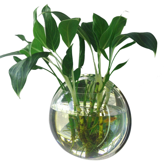 Home Decoration Wall Mount Fish Tanks Flower Vase, 150mm diameter & type 1 - 150mm diameter & type 1