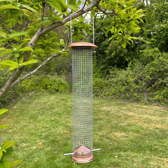 Gelsomina Tube Bird Feeder